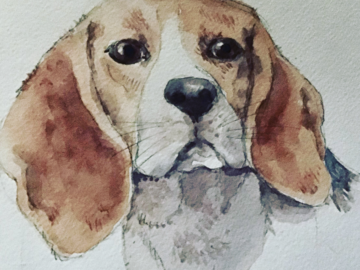 Beagle 