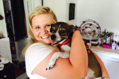 Request Quote: Personalized Coaching and Private Dog Training - East Bridgewater, MA