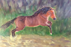 Request Quote: Commissioned Pet Portrait Artist - Nationwide