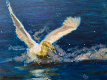 Swan Landing