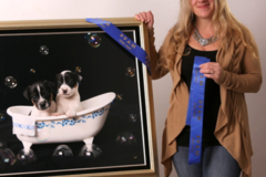 Request Quote: Pet Photography and Design By Corinna - Swampscott, MA
