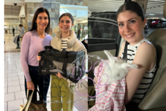 Request Quote: Nanny Pawpinz - Heart and Skill Flight Nanny Services  - Nationwide