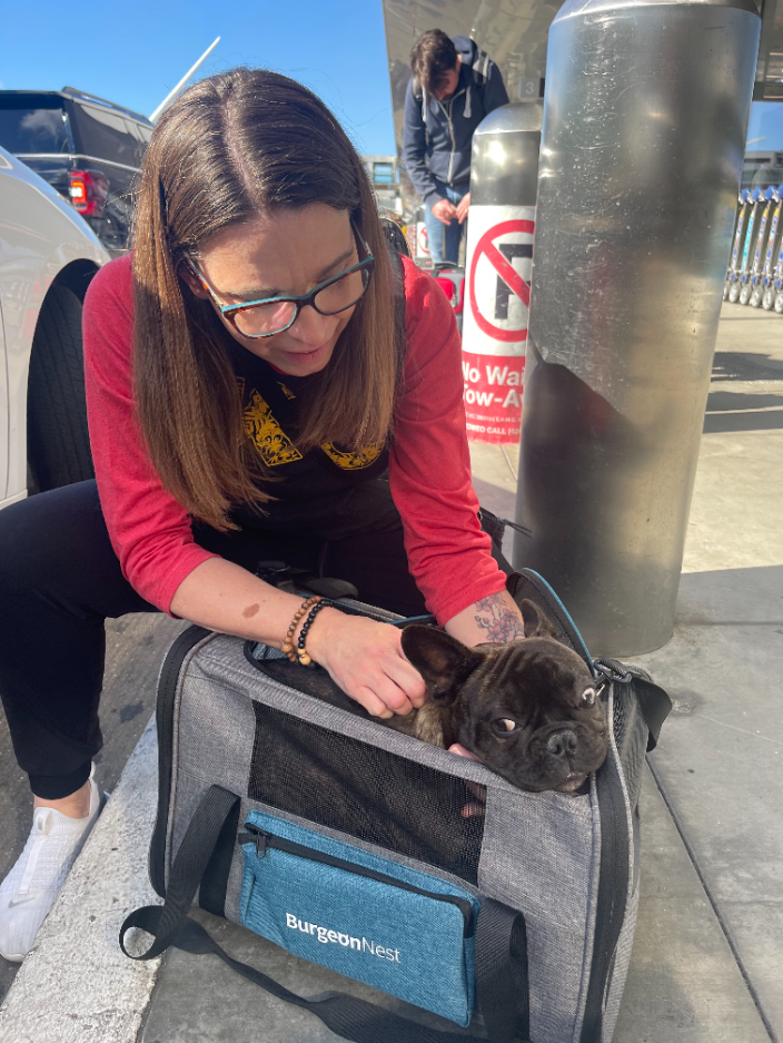 Shawnee Mission, KS KC Paws Flight Nanny Pet Transport