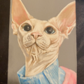 Kayla Wright - Pet Portrait Artist - Nationwide