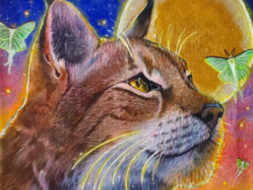 Custom Lynx Painting