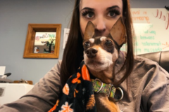 Request Quote: Pawsitively Yours Pet Care By Emma - Pet Sitting - Washingtonville, OH
