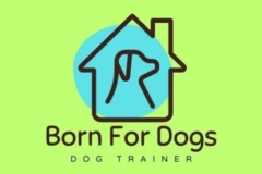 Request Quote: Affordable Dog Trainer and Behavioral Specialist  - Nationwide
