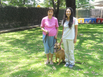 Graduate of our behavior modification board & train program.