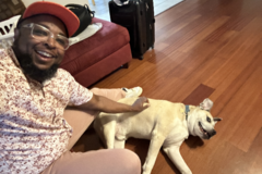 Request Quote: Gr8tday Pet Travels and Chauffeur Services - Flight Nanny - Nationwide
