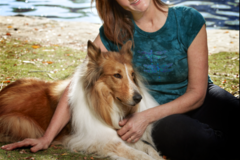 Request Quote: Behavior Modification - Dog Training and Service Dogs - Nationwide