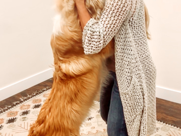 Dr. Casey's longest standing patient, Milo, her personal furry baby.  