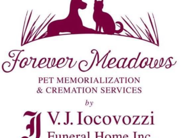 our logo