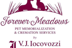 Request Quote: Mobile Vet and In Home Pet Euthanasia  - Frankfort, NY