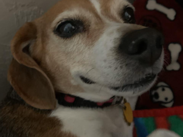 Lady Bug smiles