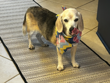 Duncan's birthday - turning 15!