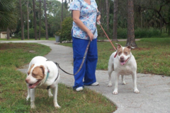 Request Quote: Angel Paws Transport and Pet Sitting  - Nationwide