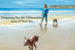 Request Quote: Preparing For The Unbearable Loss of Your Pet and AFTER - Nationwide