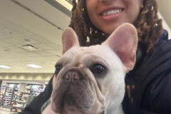 Request Quote: Travel Tails Pup Transport Flight Nanny - Nationwide