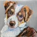 Debbie Sampson Pet Portrait Artist - Nationwide