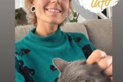 Request Quote: Book an Expert Animal Caretaker - In Home Pet Sitting - San Diego, CA
