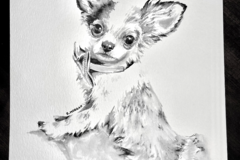 Request Quote: Pet Portrait Art - Ink and Water - Nationwide