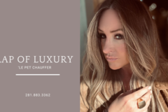 Request Quote: VIP Lap of Luxury Pet Chauffeur - Pet Transportation - Nationwide