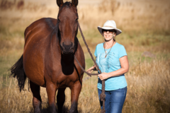 Request Quote: Animal Reiki Master  - Nationwide