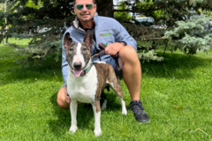 Request Quote: Lifetime Support - Behaviorist and In Home Dog Training  - Nationwide