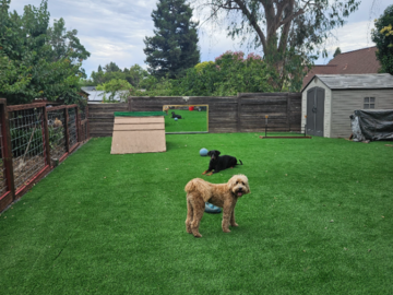 1900 sq ft training field