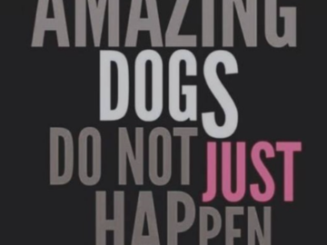 We make dogs amazing