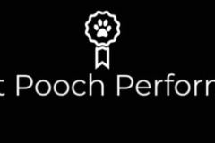 Request Quote: In Home Dog Sitting Service - Santa Rosa, CA