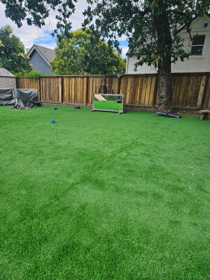 Santa Rosa, CA In Home Dog Boarding