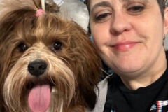 Request Quote: Mature and Dependable Pet Nanny for Domestic Flights - Nationwide