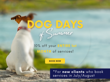 summer promo