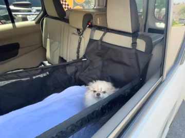 Pet booster seats are available upon request