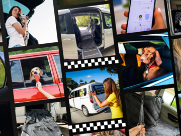 The Pet Taxi of Palm Beach County