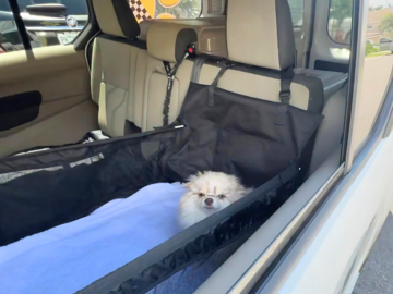 Booster seats provided for your low-riding pup <3