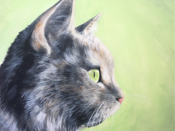 cat pet portrait