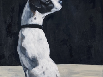 pet portrait with bluejay