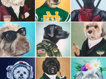 pets in costumes portraits