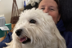 Request Quote: Small Breed In Home Dog Sitting Services - Lincoln, NE