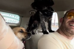 Request Quote: George Macneill - Pet Transportation Services - Nationwide