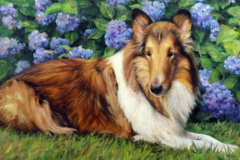 Request Quote: Pet Portraits in Oil - Nationwide