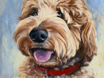 Goldendoodle