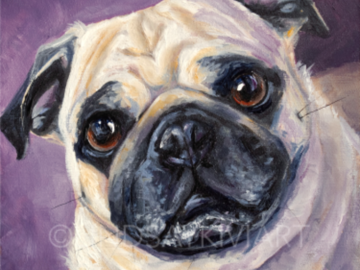 Pug