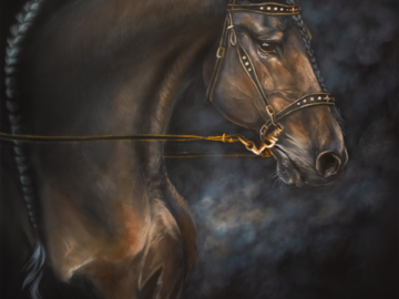 Friesian Stallion