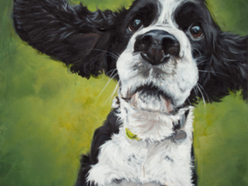 Spaniel