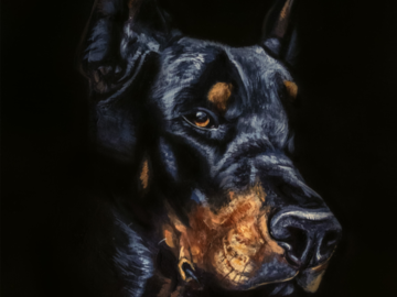 Doberman