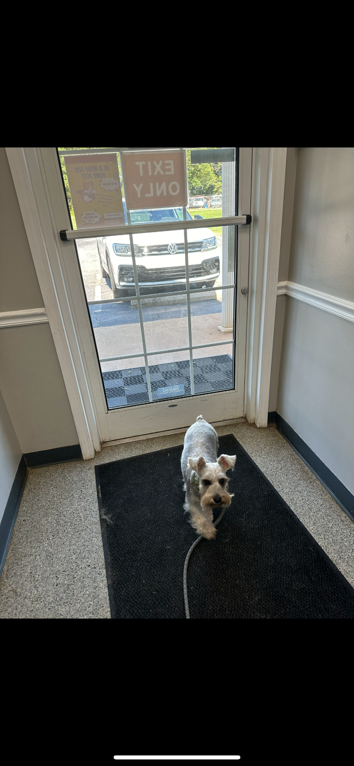 Anderson, SC Ana and Vanessa’s Paw Mobile Pet Transportation