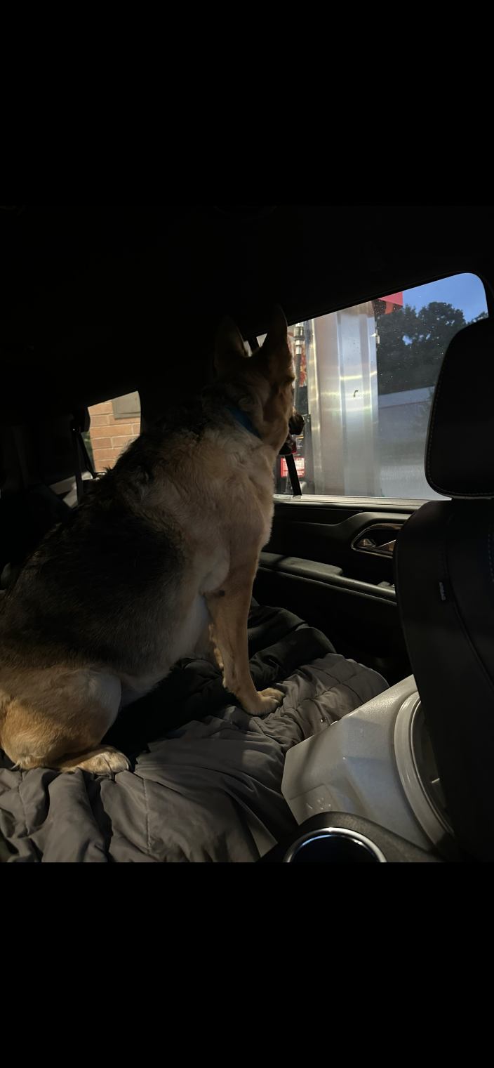 Anderson, SC Ana and Vanessa’s Paw Mobile Pet Transportation